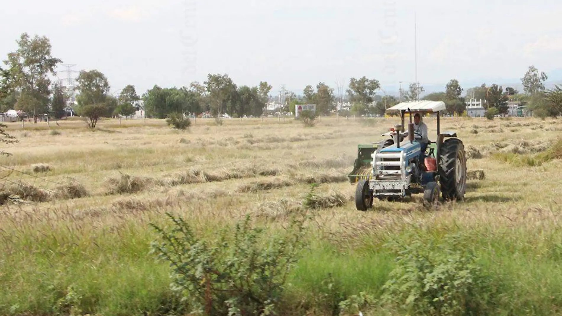 tractor campo